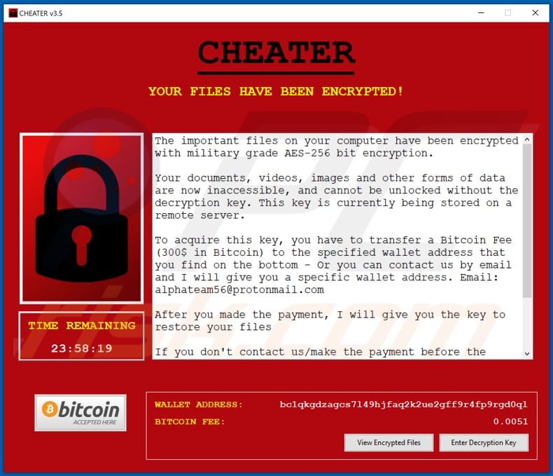 CHEATER decrypt instructions (pop-up)