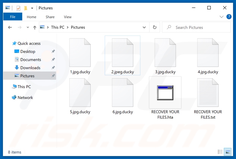 Files encrypted by Ducky ransomware (.ducky extension)