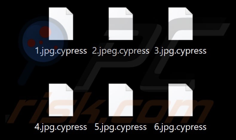 Files encrypted by Cypress ransomware (.cypress extension)