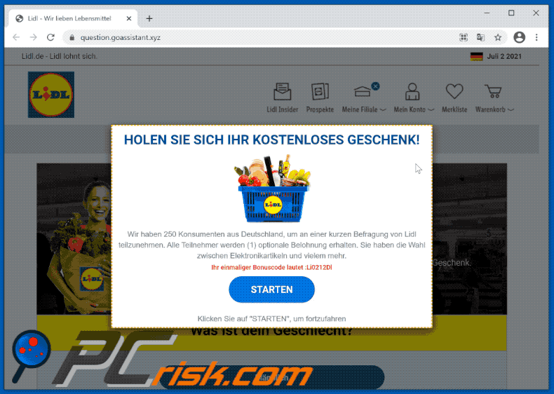 lidl email scam fake website appearance