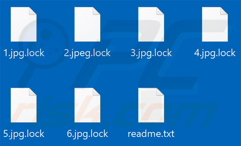 Files encrypted by an updated RANZYLOCKED ransomware variant (.lock extension)