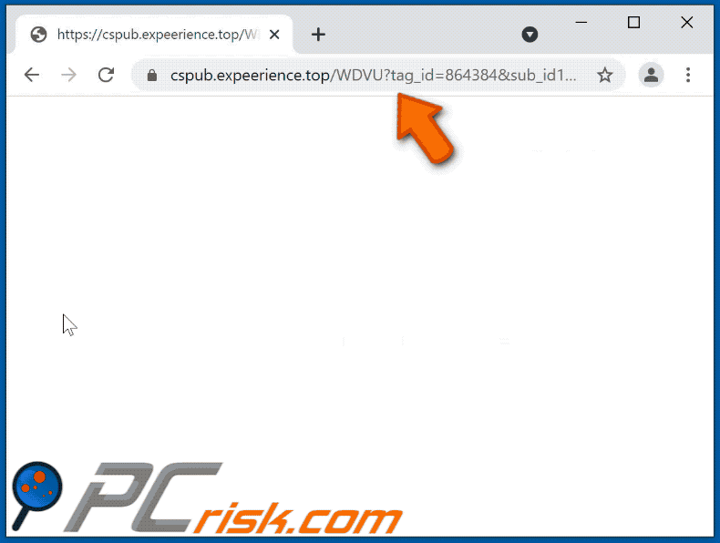expeerience[.]top website appearance (GIF)