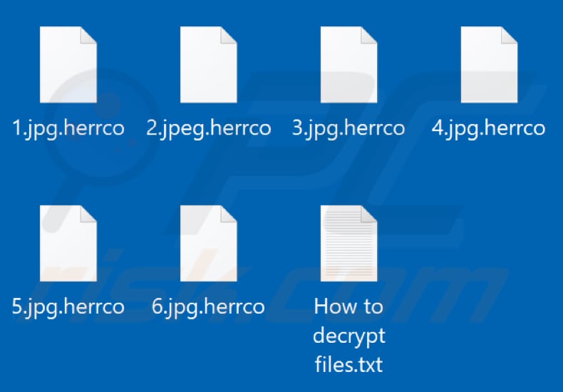 Files encrypted by Herrco ransomware (.herrco extension)