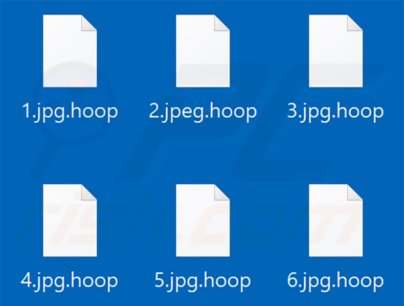 Files encrypted by Hoop ransomware (.hoop extension)