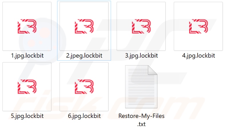 Files encrypted by LockBit 2.0 ransomware (.lockbit extension)