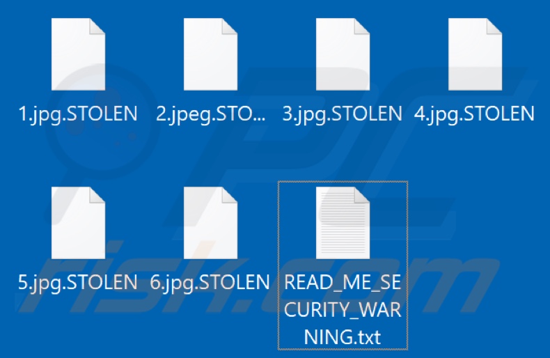 Files encrypted by STOLEN ransomware (.STOLEN extension)