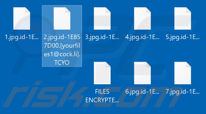 Files encrypted by TCYO ransomware (.TCYO extension)