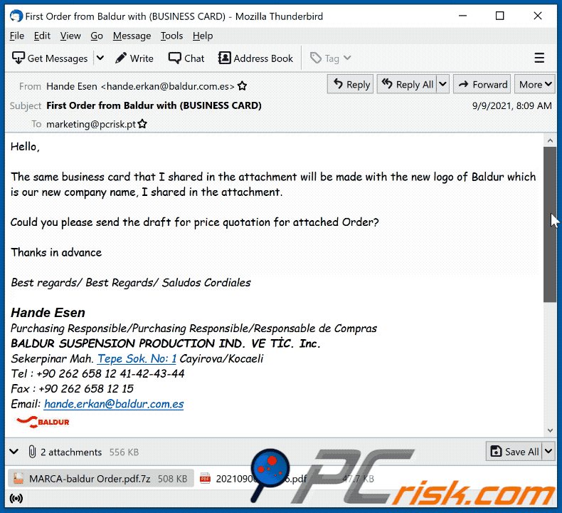 Baldur scam email appearance (GIF)
