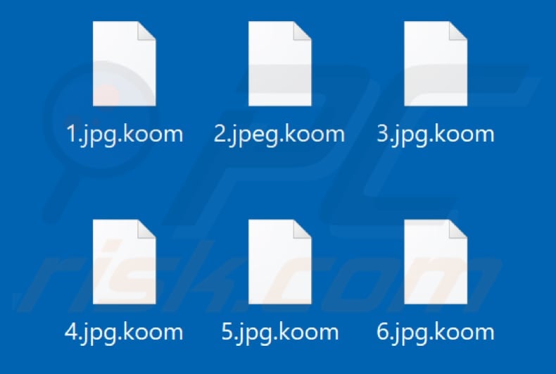 Files encrypted by Koom ransomware (.koom extension)