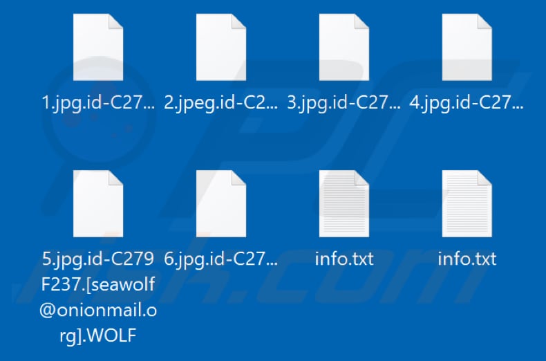 Files encrypted by WOLF ransomware (.WOLF extension)