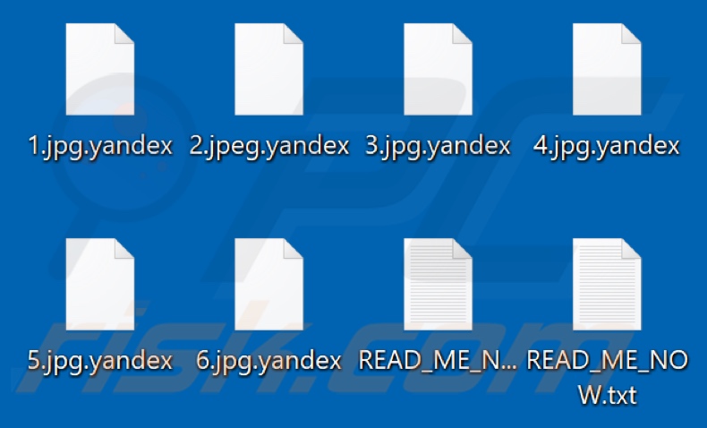 Files encrypted by Yandex ransomware (.yandex extension)