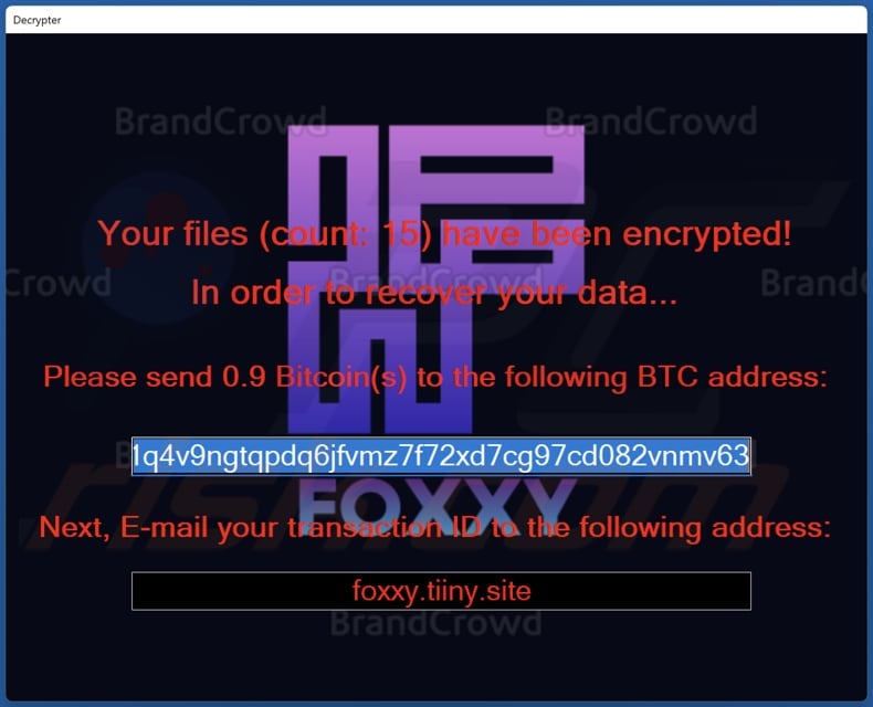 Foxxy decrypt instructions (pop-up window)