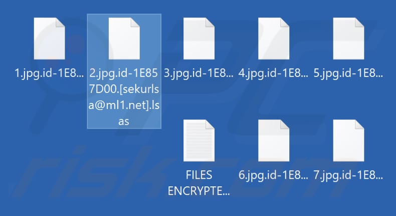 Files encrypted by Lsas ransomware (.lsas extension)