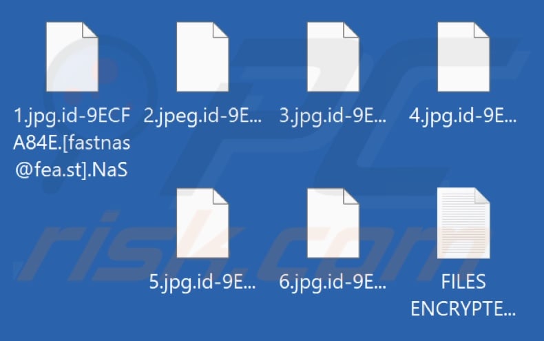 Files encrypted by NaS ransomware (.NaS extension)