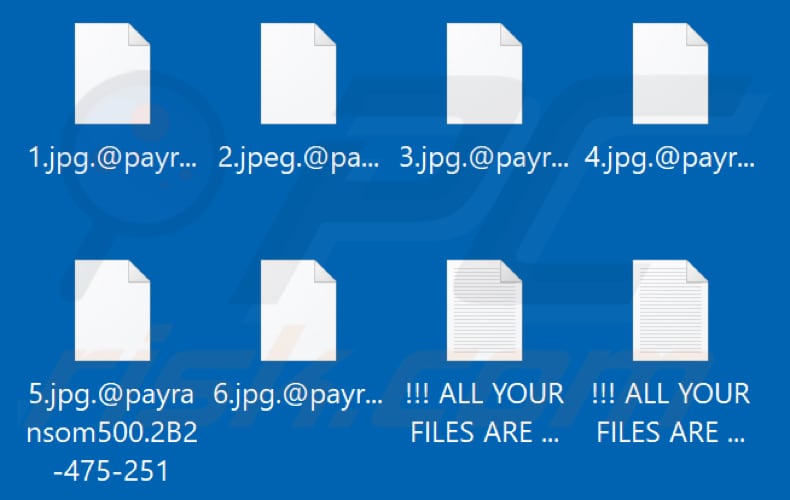 Files encrypted by Payransom500 ransomware (.@payransom500.[victim's_ID] extension)