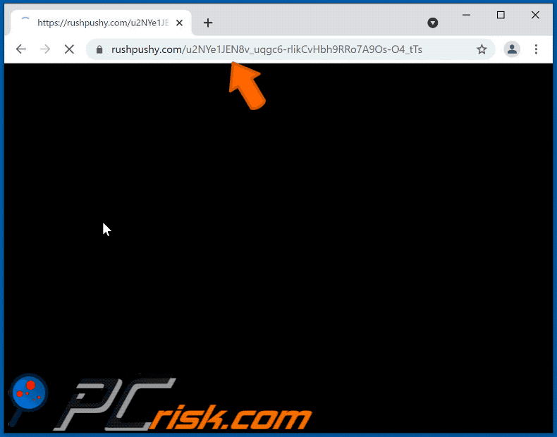 rushpushy[.]com website appearance (GIF)