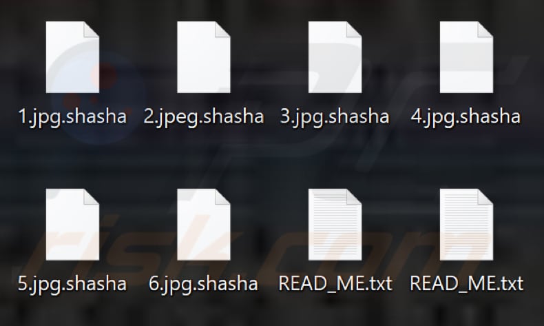 Files encrypted by Shasha ransomware (.shasha extension)