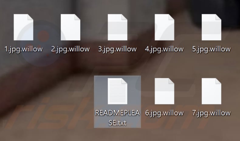 Files encrypted by Willow ransomware (.willow extension)