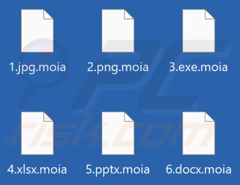 Files encrypted by Moia ransomware (.moia extension)