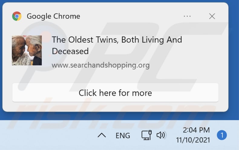 searchandshopping.org redirect notification 2