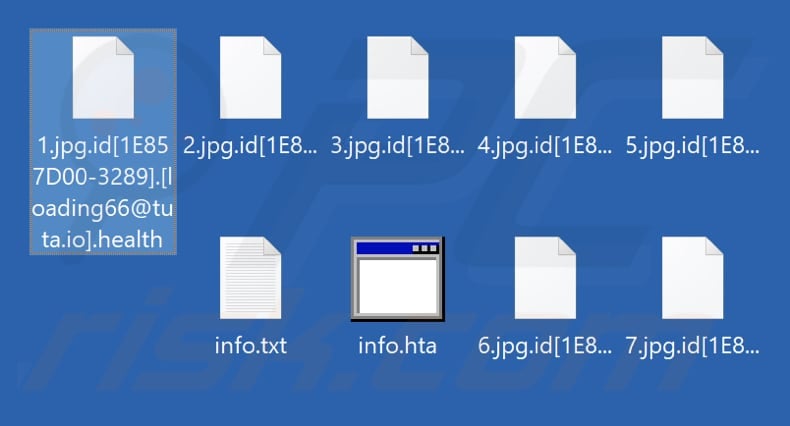 Files encrypted by Health ransomware (.health extension)