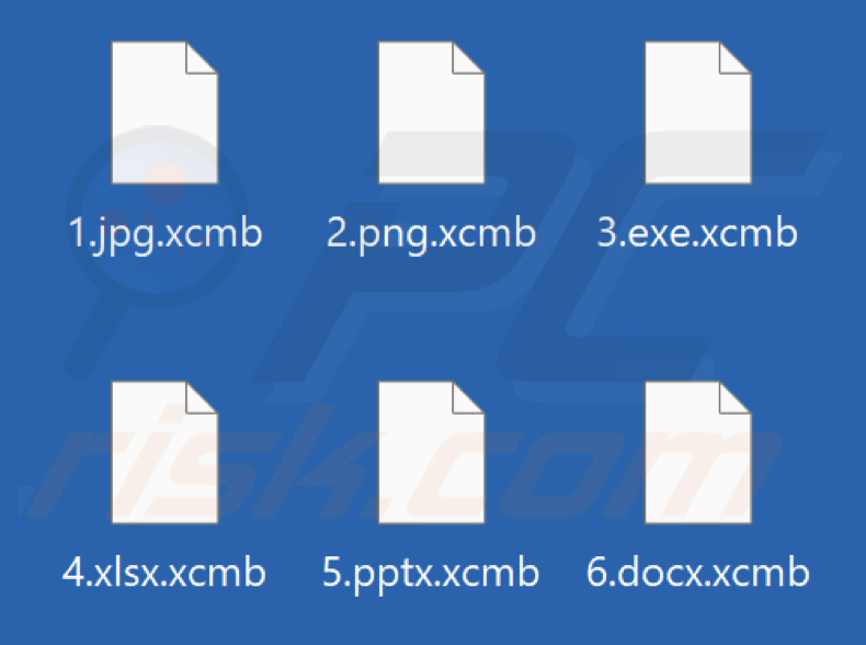 Files encrypted by Xcmb ransomware (.xcmb extension)