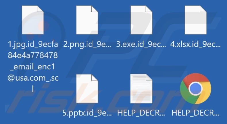 Files encrypted by Scl ransomware (.scl extension)