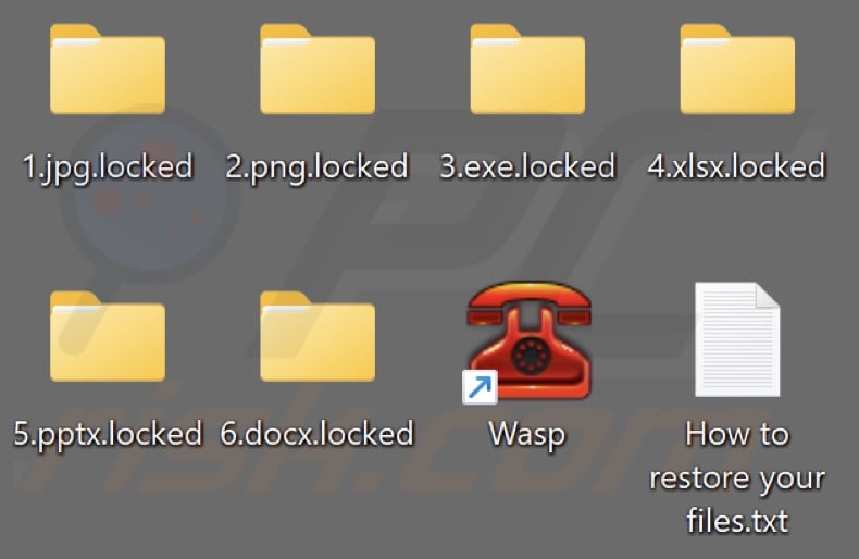 Files encrypted by WaspLocker ransomware (.locked extension)