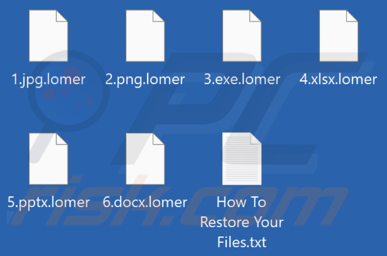 Files encrypted by ANUBIZ LOCKER ransomware (.lomer extension)