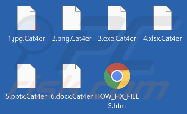 Files encrypted by Cat4er ransomware (.Cat4er extension)