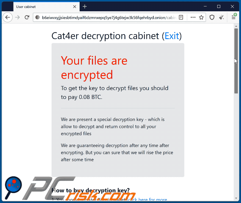 Cat4er ransomware website (GIF)