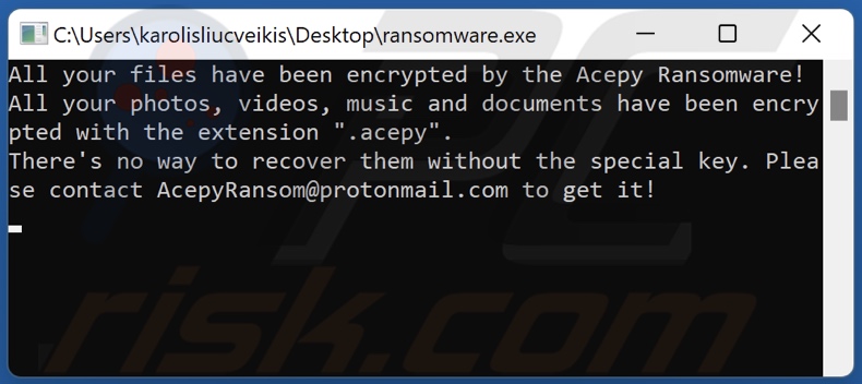 Acepy ransomware ransom-demanding message (cmd)