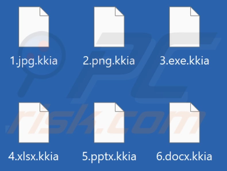 Files encrypted by Kkia ransomware (.kkia extension)