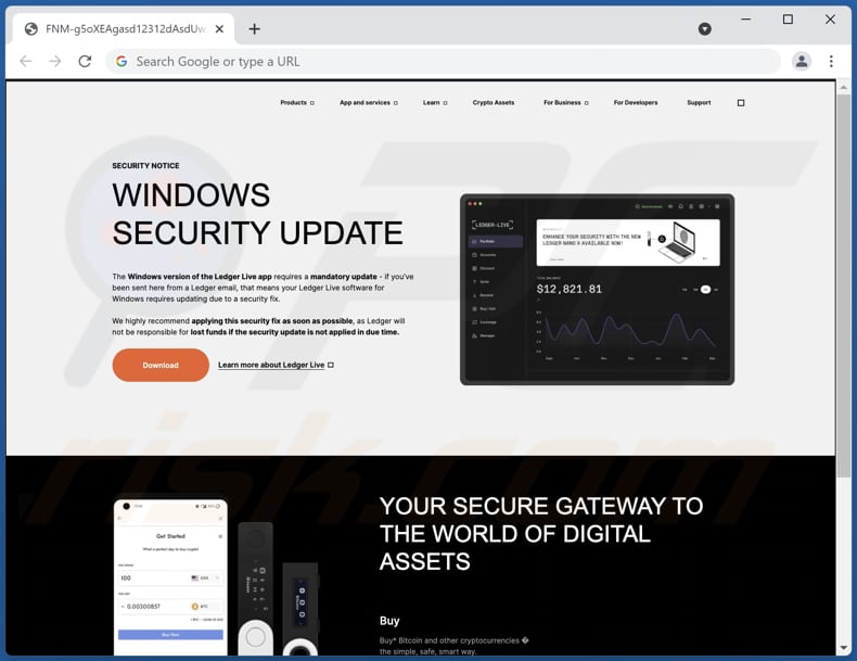 Ledger Live Update scam page