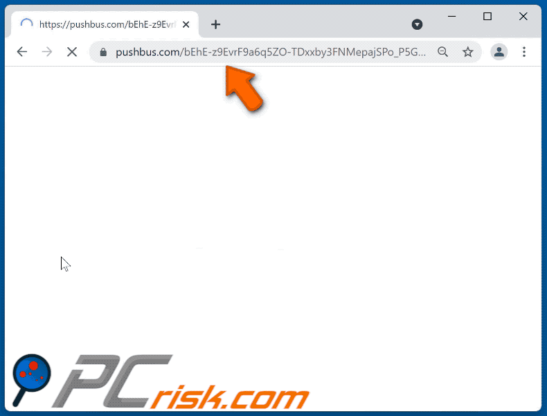 pushbus[.]com website appearance (GIF)