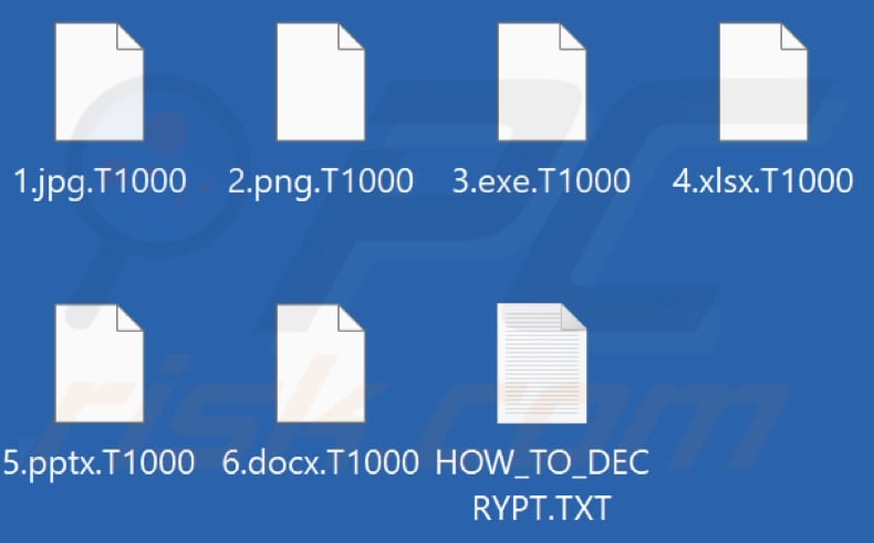 Files encrypted by T1000 ransomware (.T1000 extension)