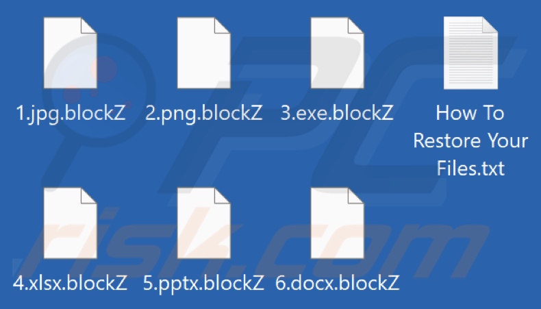 Files encrypted by blockZ ransomware (.blockZ extension)