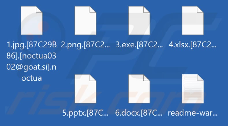 Files encrypted by Noctua ransomware (.noctua extension)