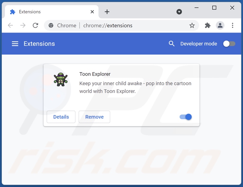 Removing Toon Explorer ads from Google Chrome step 2
