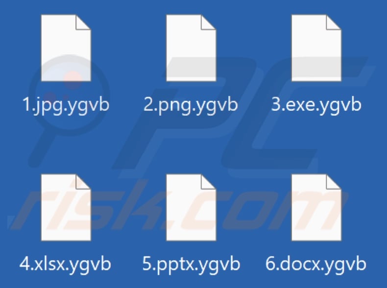 Files encrypted by Ygvb ransomware (.ygvb extension)