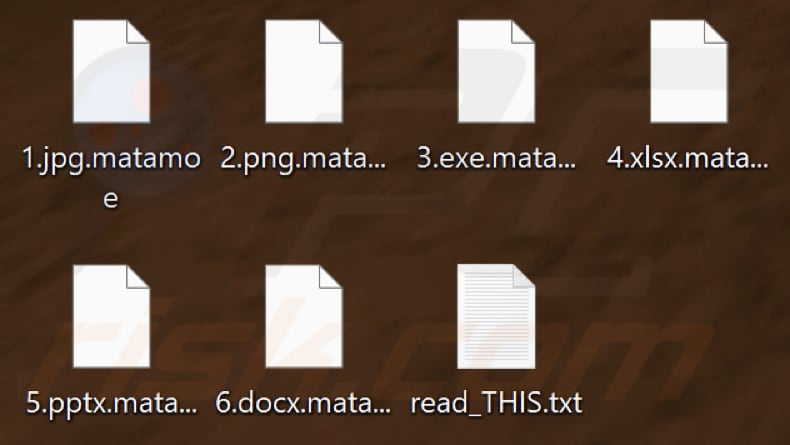 Files encrypted by Matamoe ransomware (.matamoe extension)