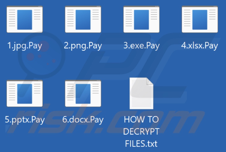 Files encrypted by Pay ransomware (.Pay extension)