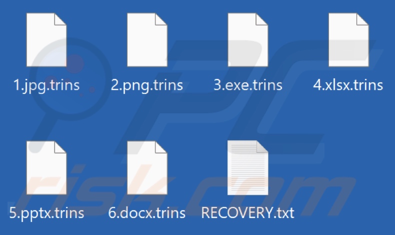 Files encrypted by Trins ransomware (.trins extension)