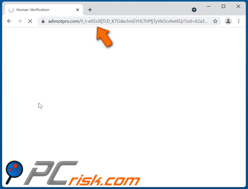 advnotpro[.]com website appearance (GIF)