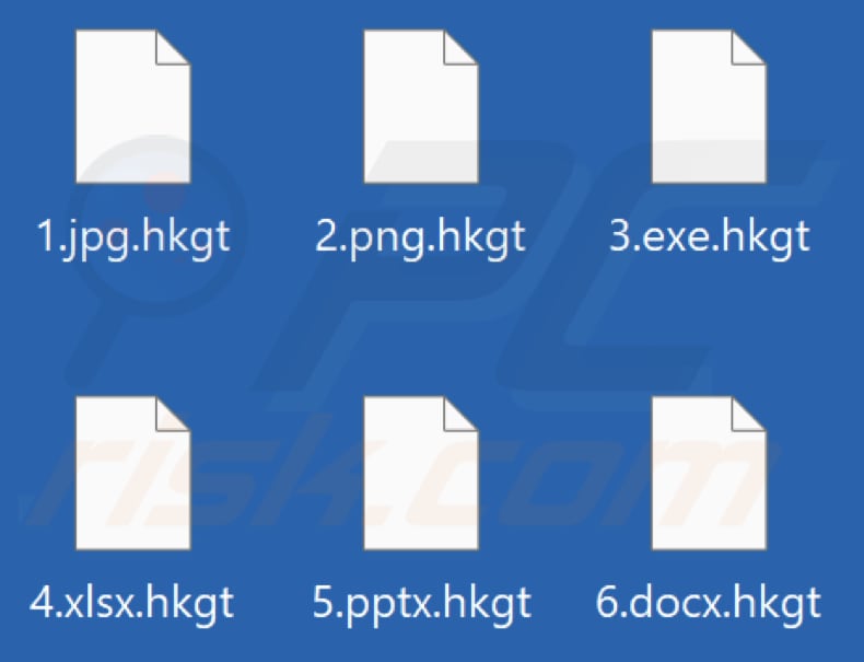 Files encrypted by Hkgt ransomware (.hkgt extension)