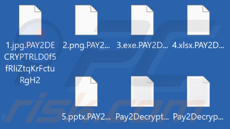 Files encrypted by Pay2Decrypt ransomware (.PAY2DECRYPT[random_character_string] extension)