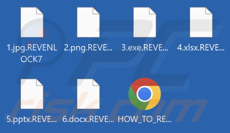 Files encrypted by REVENLOCK ransomware (.REVENLOCK7 extension)