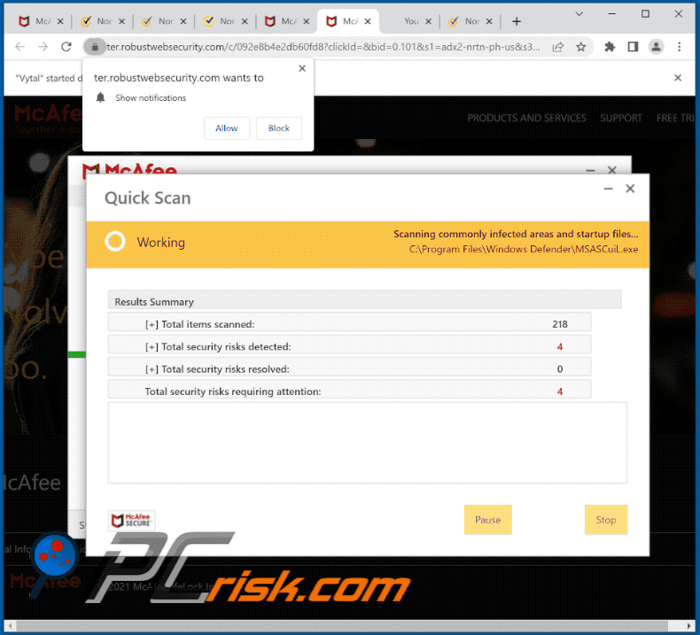 robustwebsecurity[.]com website appearance (GIF)