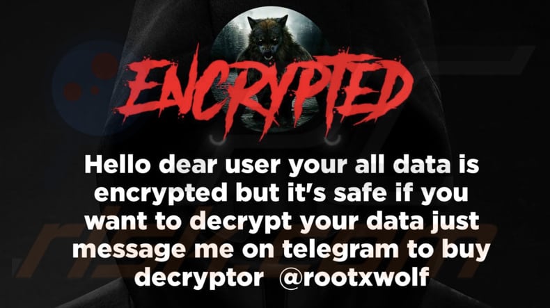 Rootxwolf ransomware wallpaper