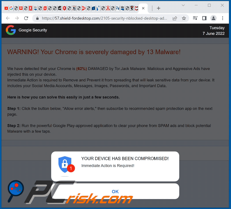 shield-fordesktop[.]com website appearance (GIF) 1